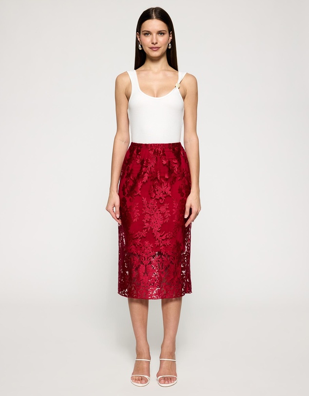 Lindsay Nicholas New York - Crimson Rose Lace Skirt with Crimson Underskirt