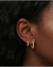 HOUSE OF SLANI - Xenia Twisted Croissant Hoops