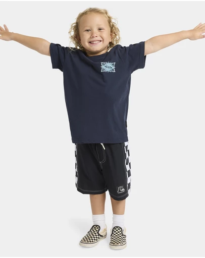 Quiksilver - Boys 2 to 7 Starfish Stamp T-Shirt