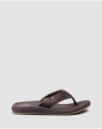 Brown / Fossil