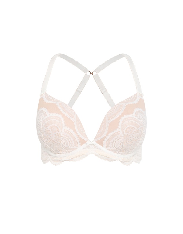 City Chic - Plus size Ophelia Push Up Bra - ivory