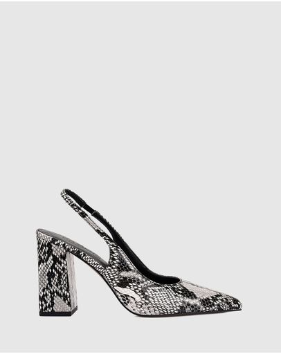 Black & White Snake