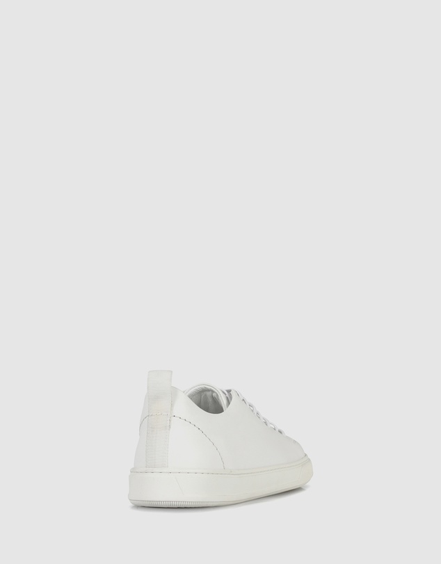 Brando - Aven Low Top sneakers