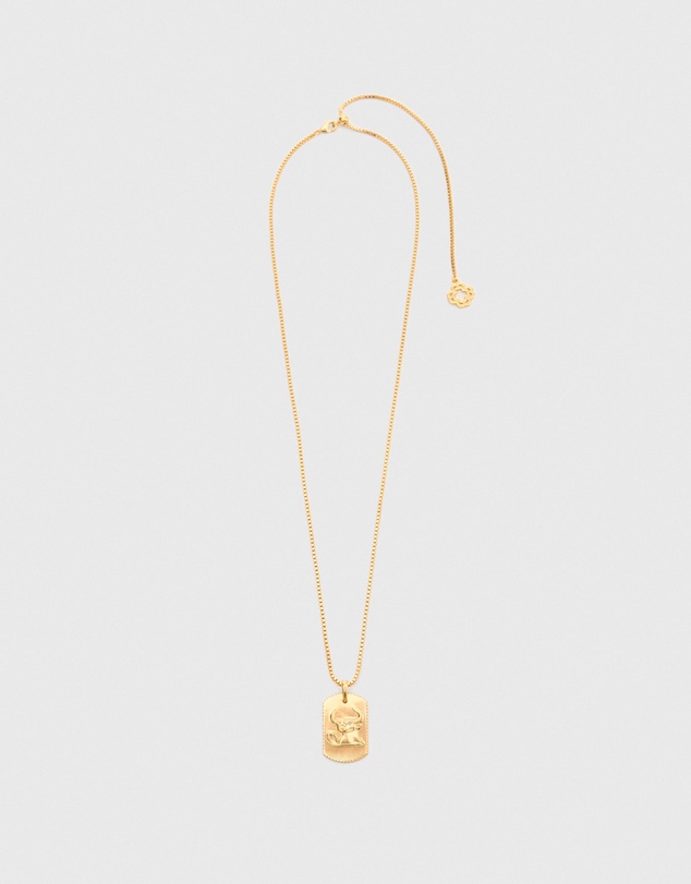 Maje - Astro Plaque Necklace