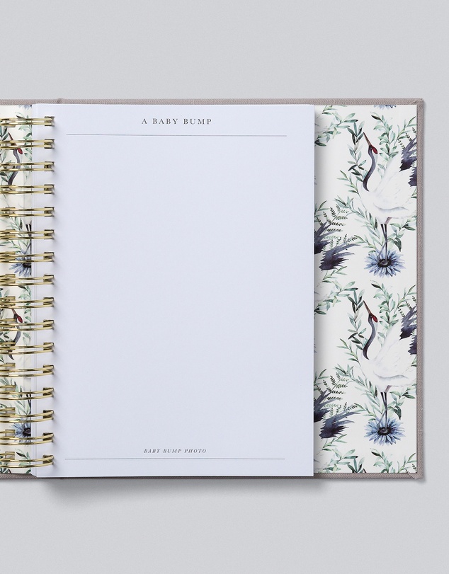 Write to Me - Bump Pregnancy Journal Boxed