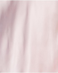 Sainted Sisters - Scarlett Silk Camisole