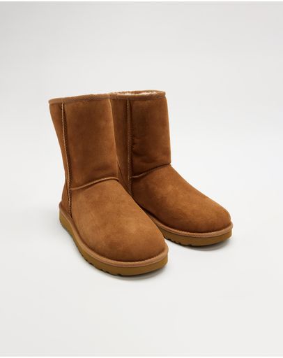 Chestnut