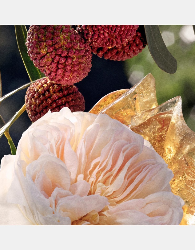 Chloé - Chloe Eau De Parfum 50ml