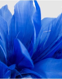 Max Alexander - Modern Royal Blue Racing Fascinator