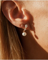 Georgini - Georgini Chic Noel Freshwater Pearl Pyrmont Earrings Gold