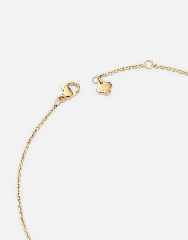 Daniel Wellington - North Star Necklace 7 Small Apricot Enamel