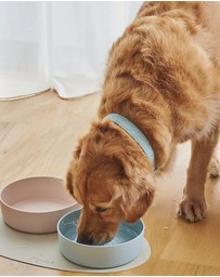 Lilly + Dash - Dog Eat and Drink Set – 2 Bowls + Lick Insert + Slate Placemat Set