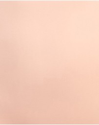 Sans Complexe - Perfect Touch Seamless Ultra High Waist Shaping Brief