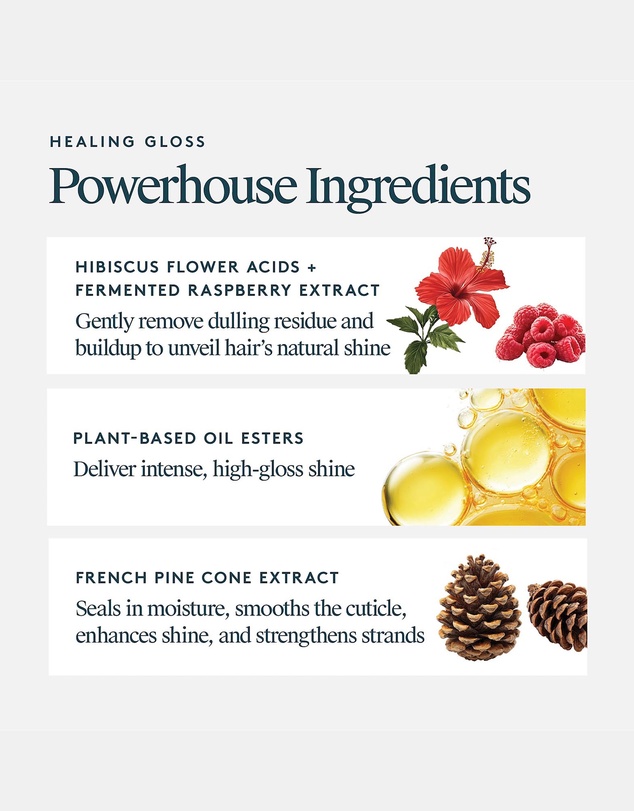 Virtue Labs - Healing Gloss