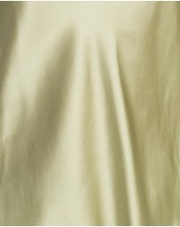 Sainted Sisters - Scarlett Silk Camisole