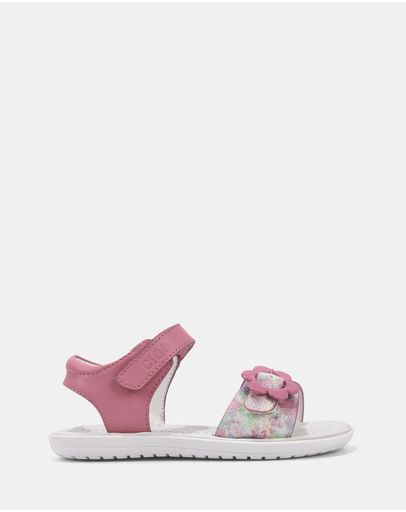 Pink Multi