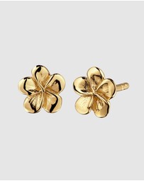 Elli Jewelry - Frangipani Stud Earrings in Gold-Plated 925 Sterling Silver