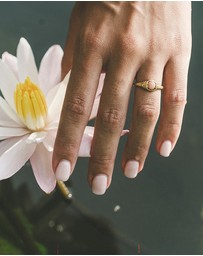 Haze & Glory - ICONIC EXCLUSIVE - Ring Sun Whisper 925 Sterling Silver