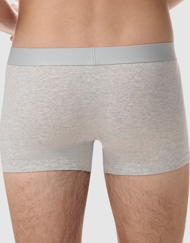 adidas Sportswear - 2 Pack Active Flex Cotton Body Trunk Underwear