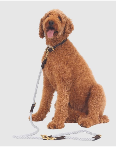 Mog & Bone - Multi-function Rope Lead (1.8m) - Grey