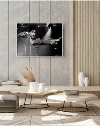 Olive et Oriel - Prince Art Print