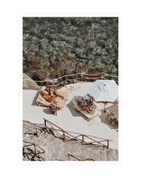 Amichi Co - Lounge Lizards Fine Art Print