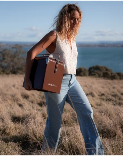 Napoleon Goods - Mini Cooler