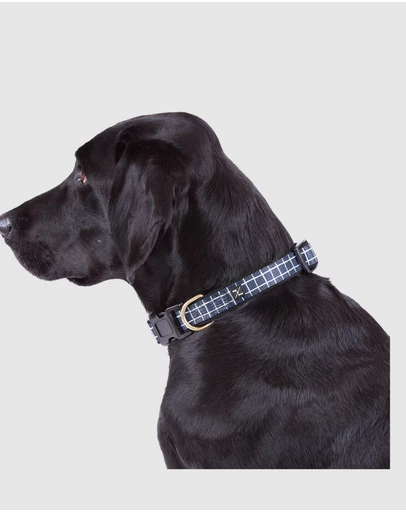 Mog & Bone - Neoprene Collar - Navy Check Print