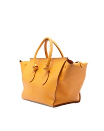 Pre-Loved by Azura Reborn - Pre-Loved Small Grained Calfskin Tie Knot Handbag