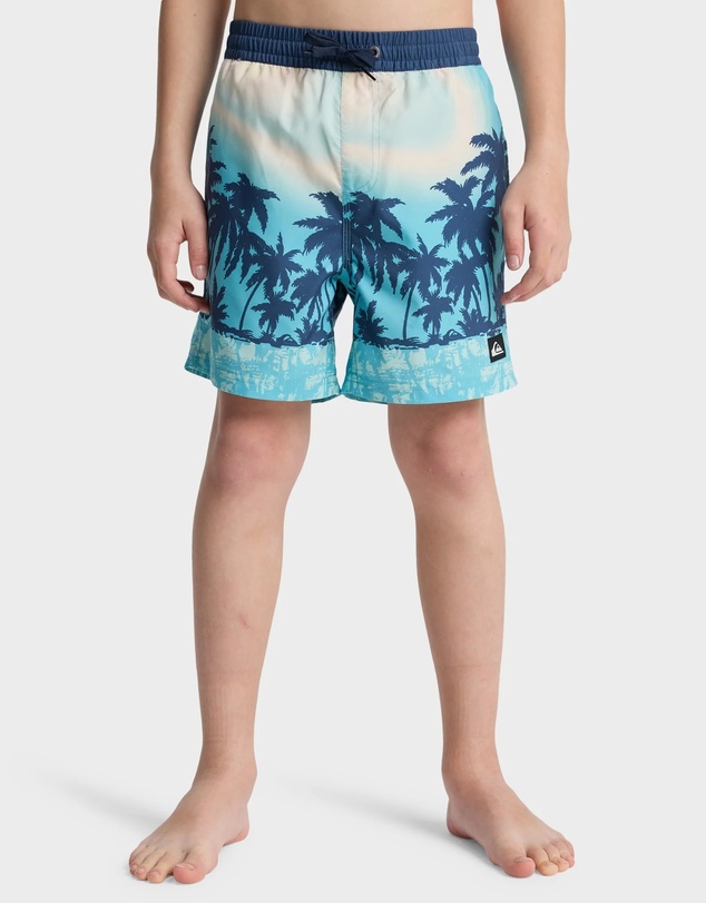 Quiksilver - Boys 8 to 16 Everyday Printed 14