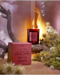 Hunter Candles - Acacia Tree Candle