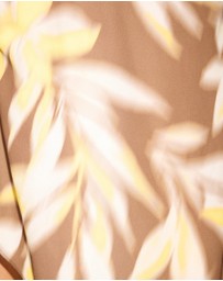 Dazie - Romy Midi Dress
