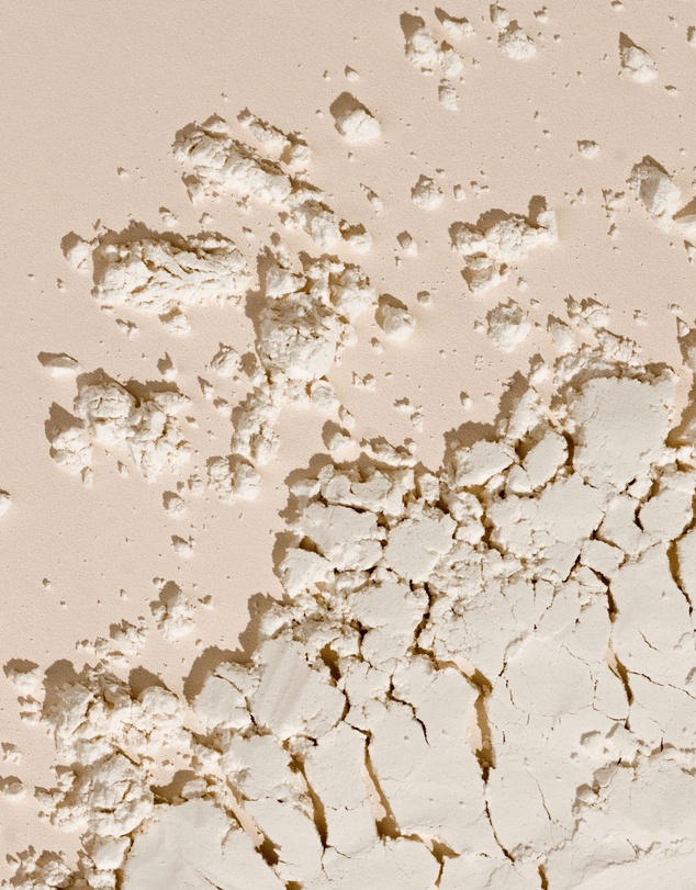 Inca Organics - Skin Body Gut Plant Protein + Hyaluronic Acid + Pre & Probiotics (Creamy Vanilla)
