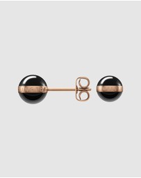 Daniel Wellington - Aspiration Earrings