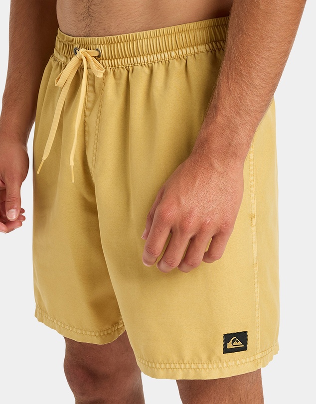 Quiksilver - Mens Everyday Volley 17