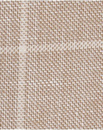 SABA - Juan Check Suit Jacket