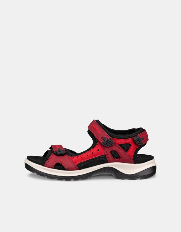 ECCO - ECCO Offroad