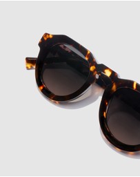 Hawkers Co - HAWKERS - Havana WARWICK UPTOWN Sunglasses for Men and Women UV400