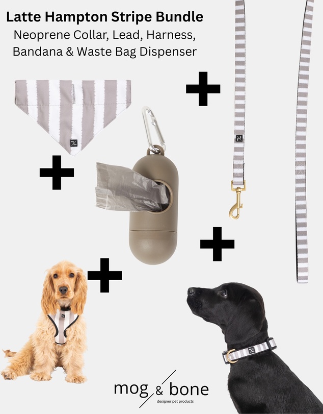 Mog & Bone - Neoprene Dog Bundle- Latte Hampton Stripe
