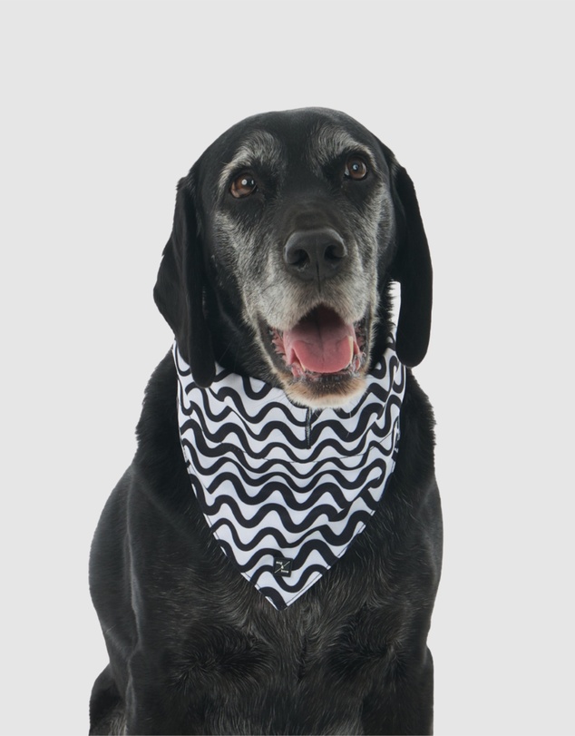 Mog & Bone - Dog Bandana - Black Wave Print