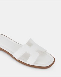Novo - Sachie Slides