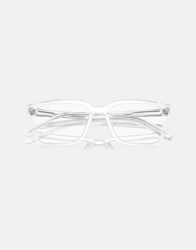 Ray-Ban Optical - Alain