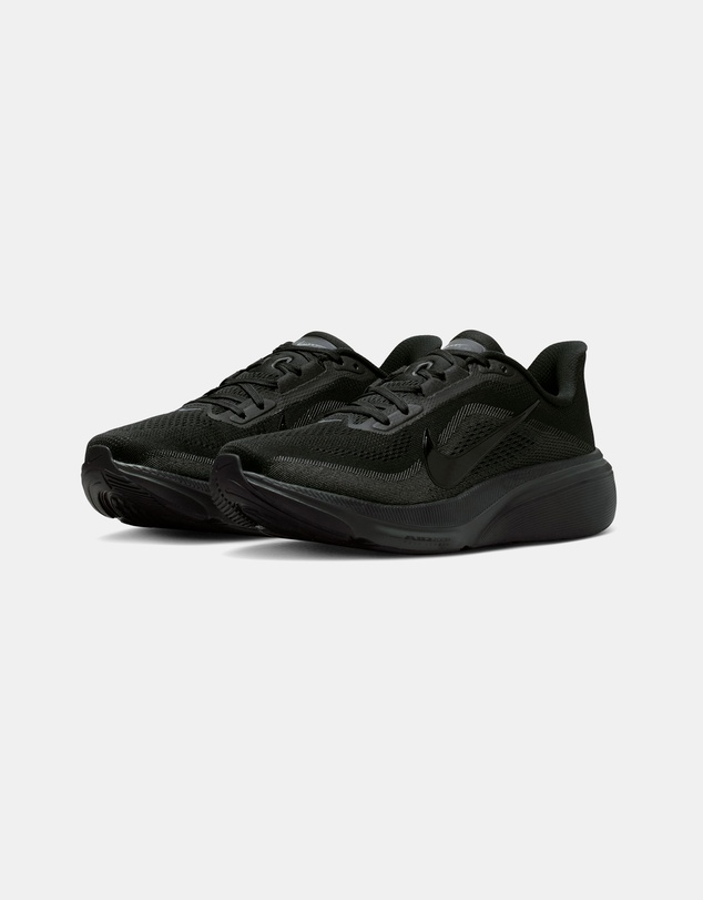 Nike - Pegasus 42 - Women's