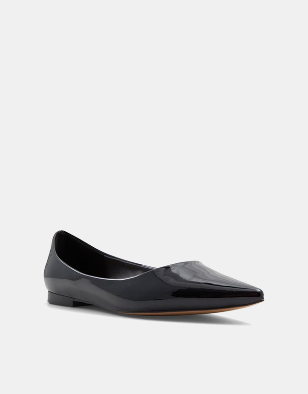ALDO - Stessy Flat Pointed Toe Ballerina Flats