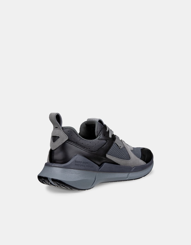 ECCO - ECCO Biom 2.2