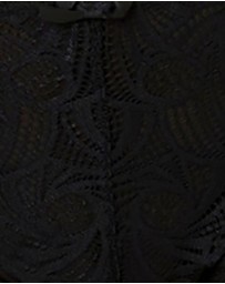Sans Complexe - Ariane Classic Lace & Microfiber Brief