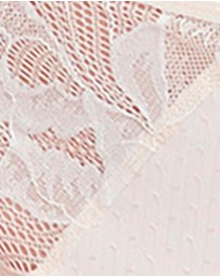Sans Complexe - Capucine Low Rise Two-Tone Lace Brief