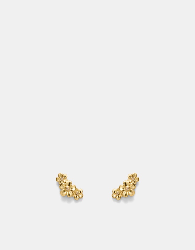 MIMCO - Garden Climber Stud Earrings