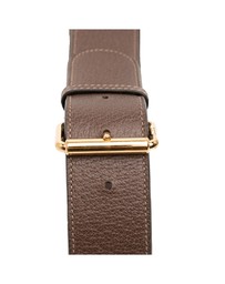Pre-Loved by Azura Reborn - Pre-Loved Small GG Supreme Web Ophidia Belt Bag
