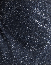 Review - Venetian Long Sleeve Dress